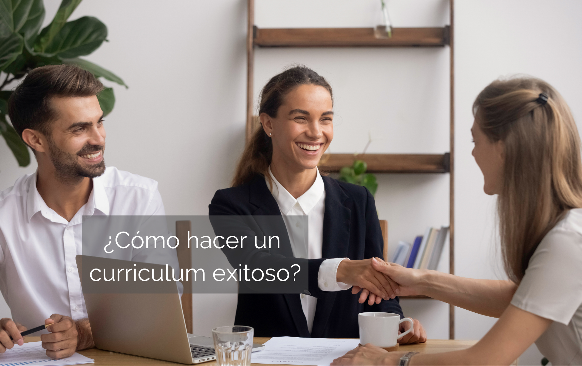 curriculum